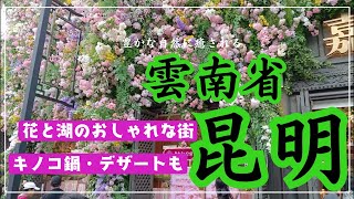 雲南省昆明→花と●●がマジで楽し過ぎた【中国Vlog】Vol.12