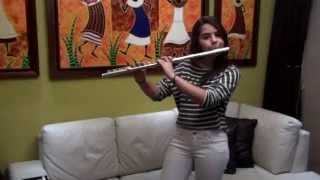 Wizard - Martin Garrix Flute Cover