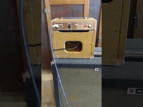 1955 Fender Champ 5D1 Tweed Wide Panel image 14