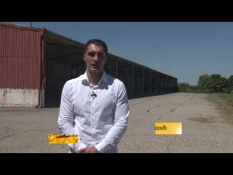 NIKSICI  ZA PONOS I DIKU