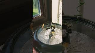 Solar Beam Bot 20260502