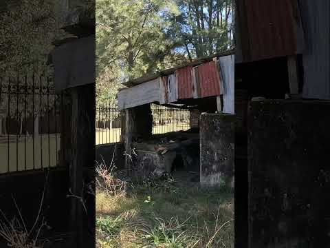 Estancia Euskara tapera