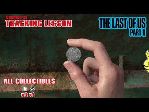 The Last of Us Part 2: Chap 23 / Tracking Lesson (All Collectibles) - HTG