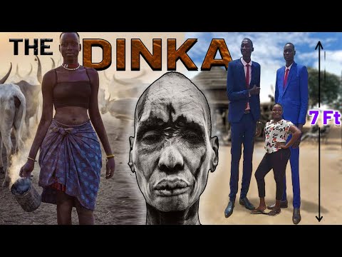 THE DINKA TRIBE : The SHOCKING Science Behind THE TALLEST PEOPLE ON EARTH.