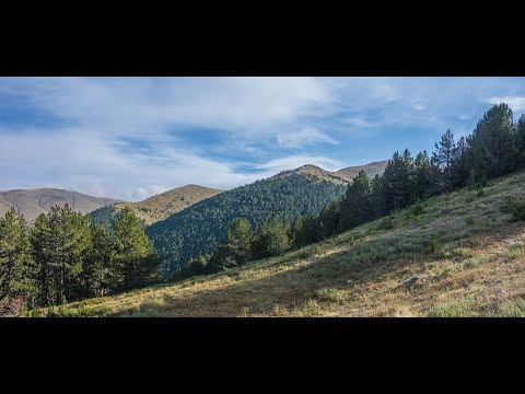 Славянка: Гоцев връх и връх Шабран 17.11.2019г. [Slavyanka mountain: Gotsev peak and Shabran peak]
