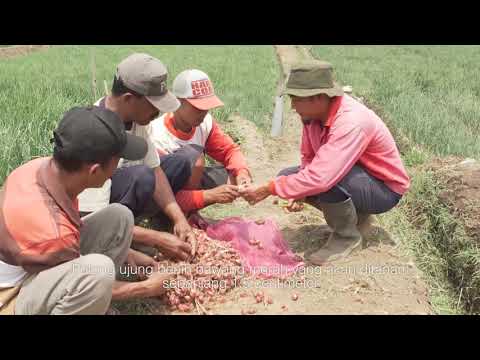 Latihan untuk potensi dalam video pria Anggota plastik di Chelyabinsk