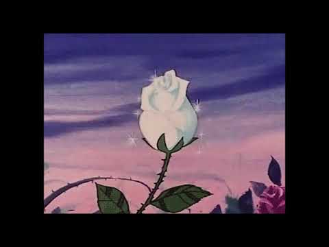 Mr. Kitty - Flowers for Boys (Slowed)