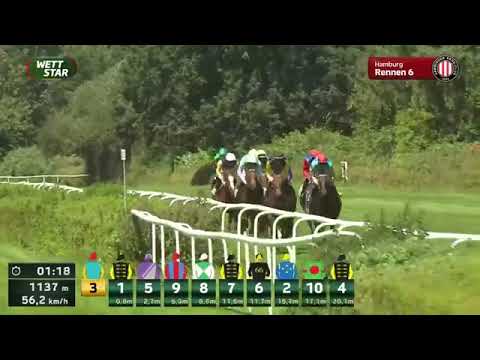 2025 Vente d'Elevage - Lot 259 - AVOLA - 3rd - Sparkasse Holstein - Hamburger Stuten Cup - Listed