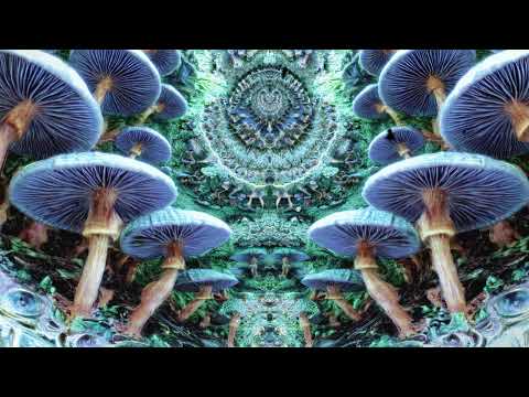 🌲 Dark Forest Goa Trance 🌌 Psytrance 2025 🔮 Mystical Spirit Energy