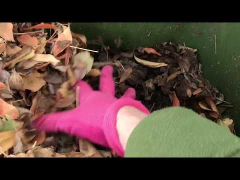 HUNGRY BIN WEEK-3 UPDATE.