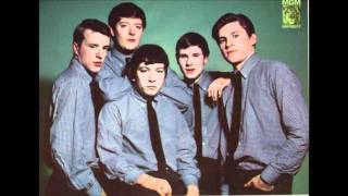 The Animals ~ Don&#39;t Let Me Be Misunderstood (1965)