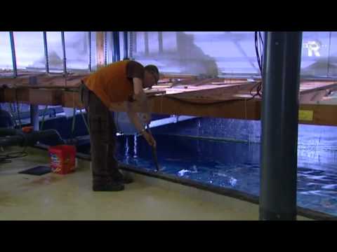 TV Rijnmond Nieuws donderdag 23 juni 2011