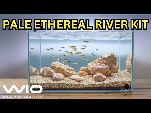 DALUA and DALUA Fishroom