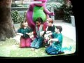 THE LITTLE TURTLE