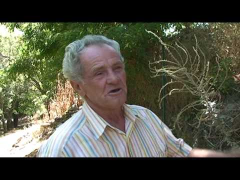 POGRADECI DOKUMENTAR Video 10.  PESHKEPIA E LASHTE RREZE MALIT TE THATE. Dokumentar,2011. 1