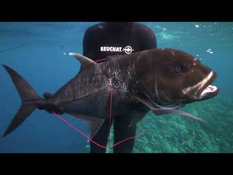 South Seas Spearo - Far Flung Fiji BONUS EPISODE