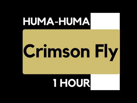 Huma-Huma - Crimson Fly [1 HOUR Loop]