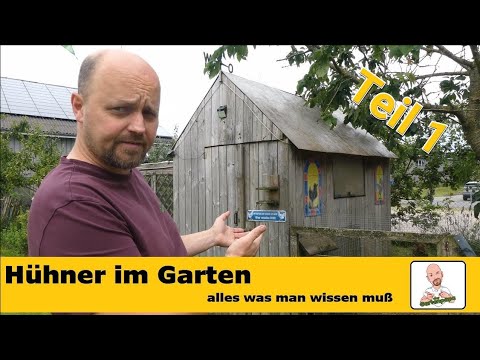 Hühnerhaltung auf dem eigenen Grundstück: Basiswissen & Stallbau (Teil 1)