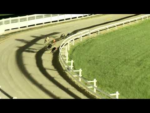 2022.08.05. 07. futam - Augusztusi Trófea