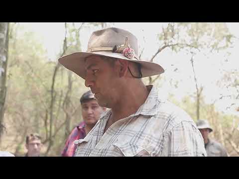 El Gobernador destacó el trabajo coordinado que se realizó en Chicoana para controlar los incendios