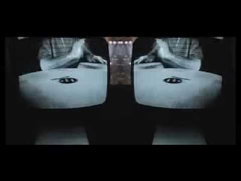 Tubarãozinho video