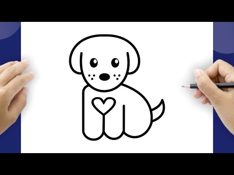 HUR MAN RITAR EN HUND LÄTT - ENKLA STEG FÖR NYBÖRJARE