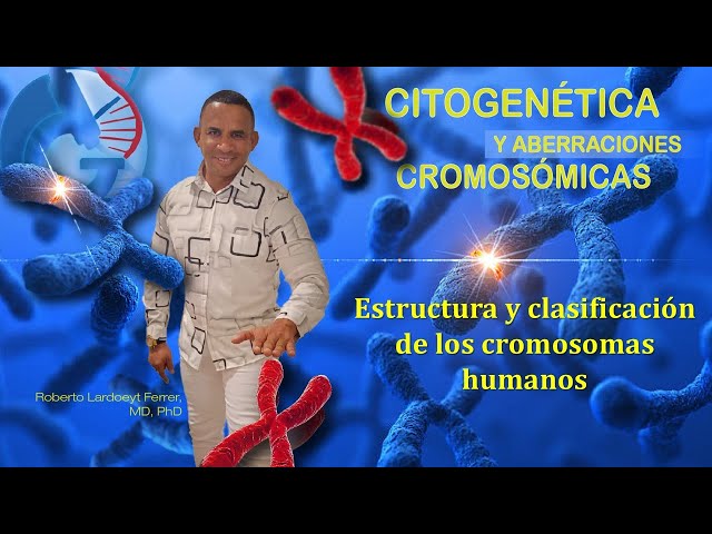 Vídeo relacionado con FewNvWa Instrumento de Demostración del Modelo del Cromosoma Instrumento para La Enseñanza de Los Estudiantes.