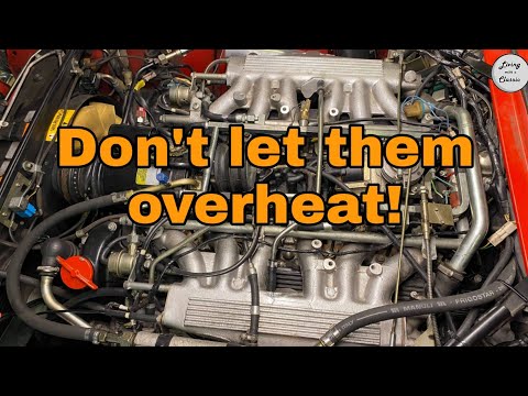 Keep Your Jaguar V12 Cool - Cooling system flush and new hoses
