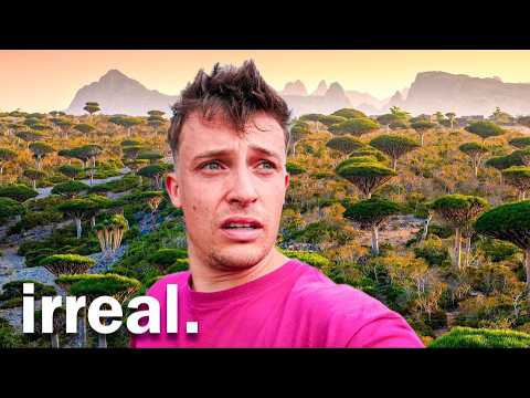 Viajar a SOCOTRA / La ISLA Mas extraña del Mundo