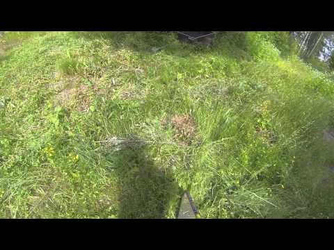 Näin saa nurmikko kyytiä