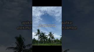 Download lagu Apikmu bakal di manfaatke, kata-kata untuk Story WA mu mp3