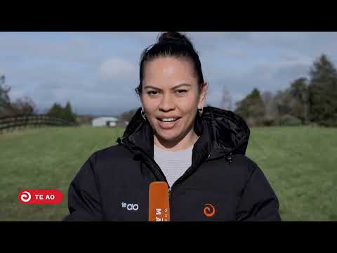 Learning what happened at Te Ranga - 159th commemorations of the battle