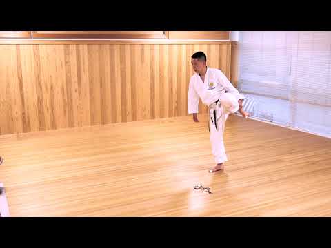 JKS 2020-05-22 Remote training Lesson P3