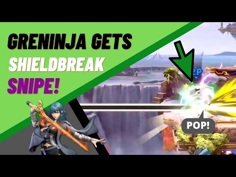 Byleth: Useless move gets Greninjas shield popped!