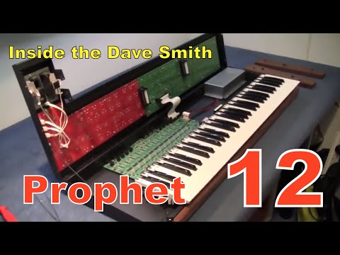 MF#5 inside the Dave Smith Prophet 12 synthesizer keyboard