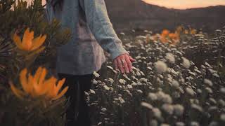 Download lagu ‘ ophelia ‘ (slowed faded) || the lumineers mp3 Download lagu ‘ ophelia ‘ (slowed faded) || the lumineers mp3