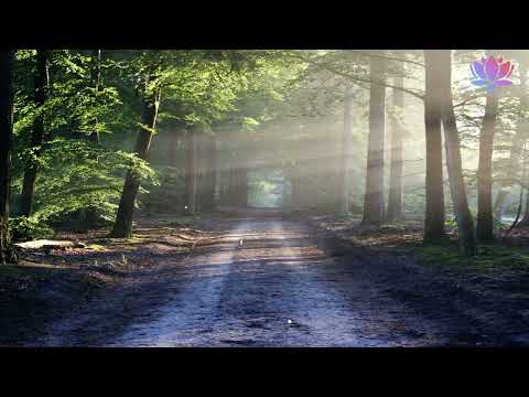 🪷 Johny Luv - Forever | Chillout Section