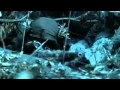 Megadeth - Sudden Death [Music Video] 