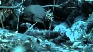 Megadeth - Sudden Death [Music Video]