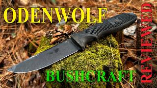 Budget Knife, Surprising Results, is it sharp #campknife #bushcraftknife #edcknife