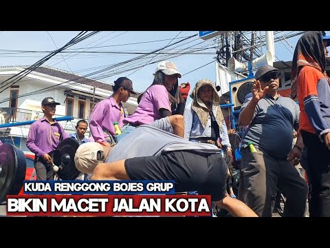 Dancing horse causes traffic jam - Dancing horse video