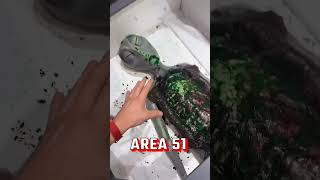 Download lagu I went to Area 51 π mp3 Download lagu I went to Area 51 π mp3