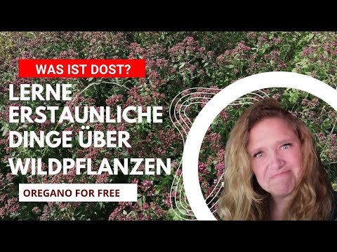 What is Dost? Learn amazing things about wild plants and interesting facts