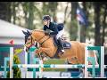 Orchid's Lonette Dutch Champion 2022