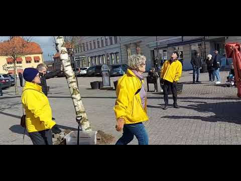 East tree up igen in the Laholm from Sweden