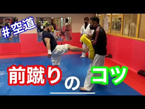 前蹴りとストッピング