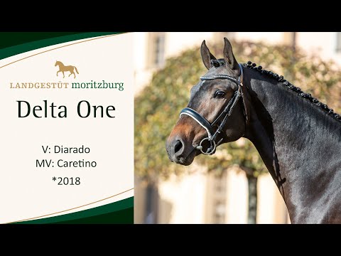 DELTA ONE v. Diarado - Caretino