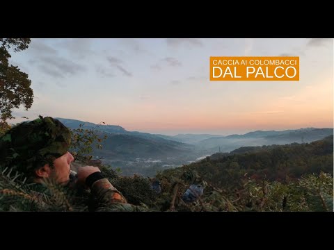 caccia-ai-colombacci: Colombaccio 2025: caccia dal palco  