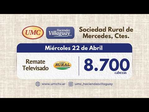 Remate Televisado - Sociedad Rural Mercedes Corrientes