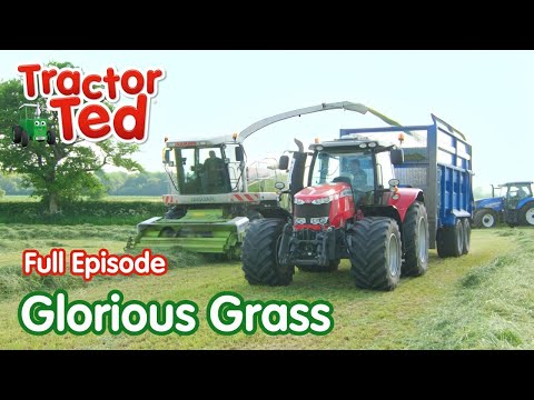 Glorious Grass | Tractor Ted Full Episode | Tractor Ted Official Channel